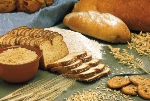 breads-1417868_1920+1.jpg